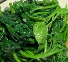 Stir-fried Sweet Potato Vine Tips