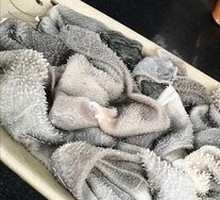Fresh Beef Tripe from Slaughterhouse