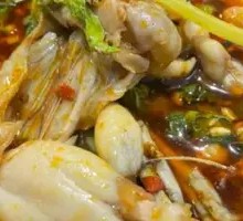 Fish and Bullfrog Red Pot