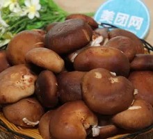 Shiitake Mushroom