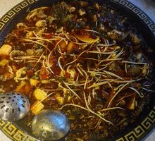 Deep-water Silver Carp