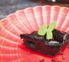 Black Gold Young Pigeon