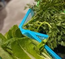 Chinese chrysanthemum greens