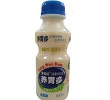 Gut-Healthy Lactic Acid Bacteria Dish