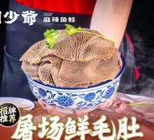 Fresh Beef Tripe from the Slaughterhouse