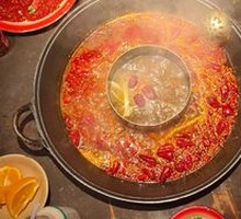 Hedgehog Kidney Slices