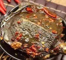 Spicy Softshell Turtle