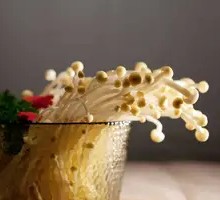 Enoki Mushroom