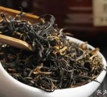 Golden Monkey Eyebrow