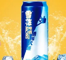 Snowflake Brave Journey