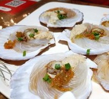 Scallop