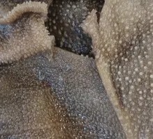 Premium Crispy Tripe