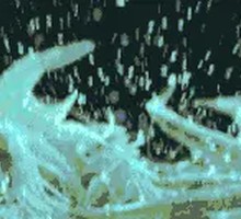 Hand-Made Shrimp Paste