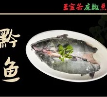 Qian Fish