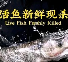 Deep-water Bighead Carp