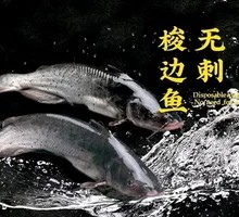 Sliced Fish with Spicy Sauce