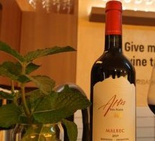 Andes Mountain Step 1008 Malbec Red Wine