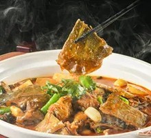 Fugui Hanshou Softshell Turtle