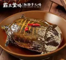 Braised Turtle