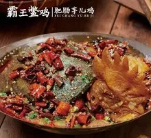 Bald Eagle Turtle Chicken