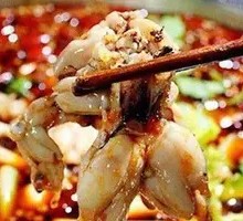 Freshly Killed American Bullfrog