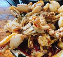 Freshly Caught Bullfrog