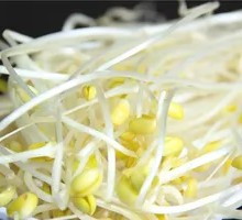 Mung Bean Sprouts