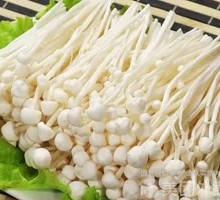 Enoki Mushroom