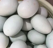 Salted duck egg