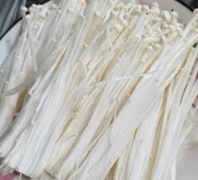 Enoki Mushroom