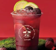 Bayberry Ice Lemonade