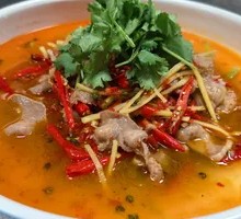 Young Ginger Australian Tongue