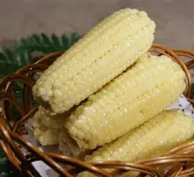 Sweet Glutinous Corn on the Cob