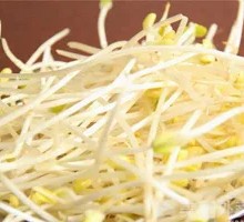 Bean sprouts