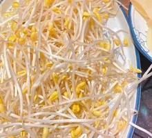 Sprouted Mung Beans