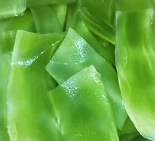 Bamboo Shoot Base