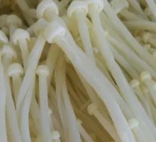 Enoki Mushroom