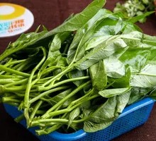 Water spinach
