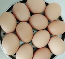 Original Flavor Steamed Egg