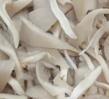 Enoki Mushroom