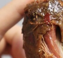 Duck Neck