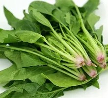 Spinach