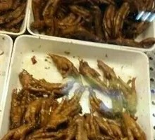 Spiced Braised Chicken Wing Tips