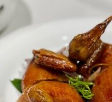 Braised Squab