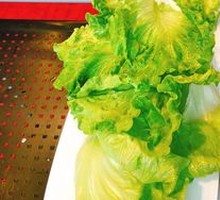 Lettuce