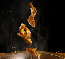 Miaomiao Fish