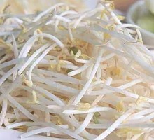 Fresh Bean Sprouts