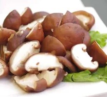 Shiitake Mushroom