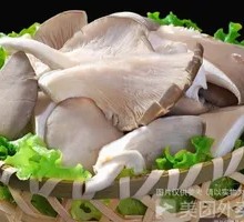 Enoki Mushroom
