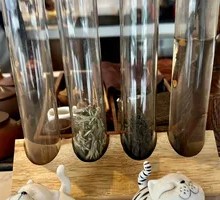 Pu'er Two-Person Drink